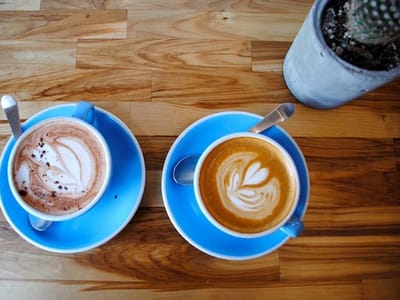 Pink Elephant Coffee Shop