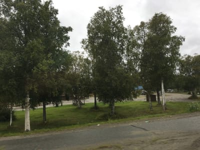 Pioneer Lodge & Campground