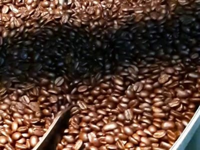 Pitotti Coffee Roasters