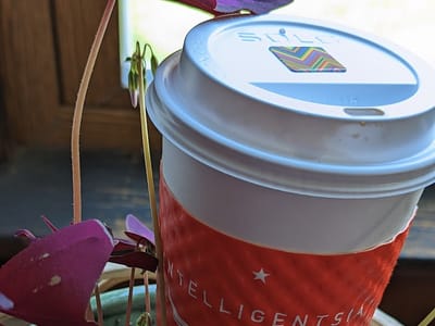 Planet Perk at City Center