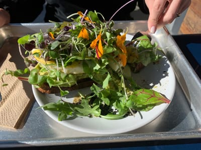 Plank Coffee Healdsburg