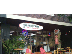 PLANTATION Coffee Roastery