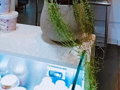 Platform Coffee House