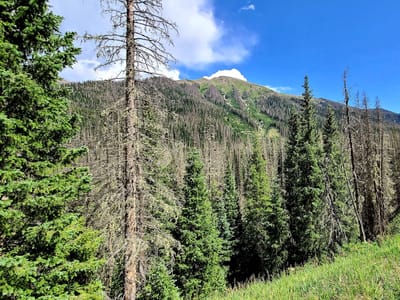 Platoro Valley Lodge & Cabins