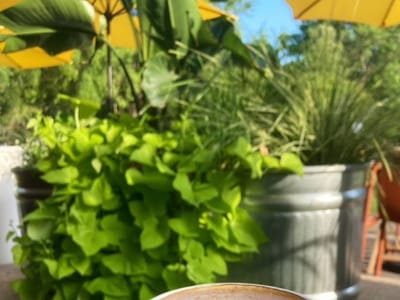 Point Break Coffee & Drive Thru