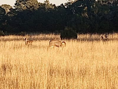 Por Vida Coffee Shop