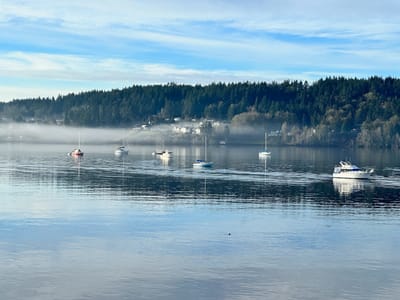 Poulsbohemian Coffeehouse
