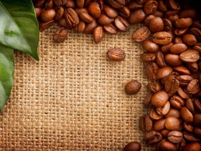 Poverty Bay Cafe & Coffee Company