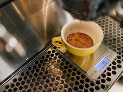 Praxis Coffee Roasters