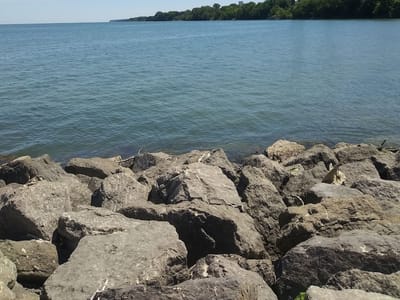 Presque Isle Angler Bait and Tackle, LLC