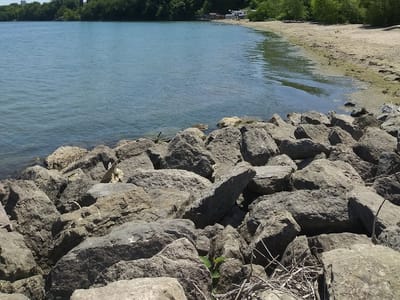 Presque Isle Angler Bait and Tackle, LLC