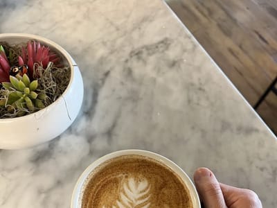 Pretty Bird Coffee Roasters