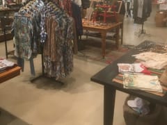 Prickly Pear Coleman