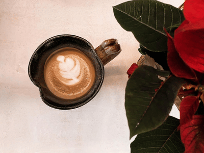 Primitive Coffee Farm Market Bakery