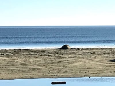 PRNSA Bookstore at Drakes Beach