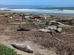 PRNSA Bookstore at Drakes Beach