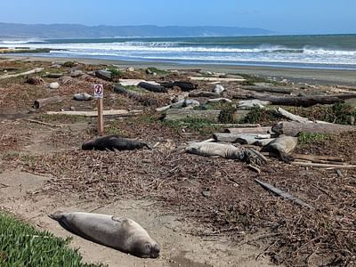 PRNSA Bookstore at Drakes Beach