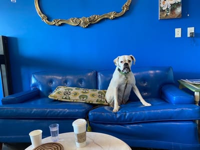 Prufrock Coffee Company