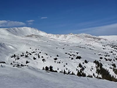 Ptarmigan Roost at Loveland