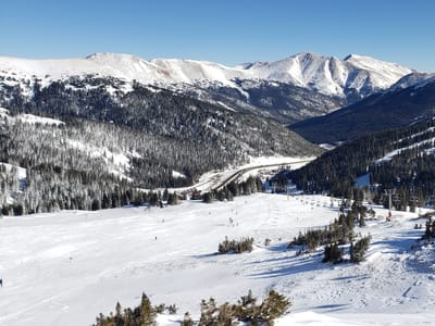 Ptarmigan Roost at Loveland