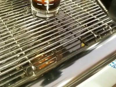 Puckerbrush Brew House