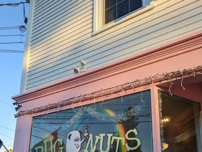 Pugnuts Ice Cream Shop