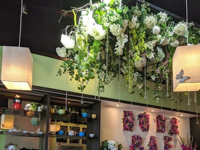 Q Tea Premium Tea House LLC