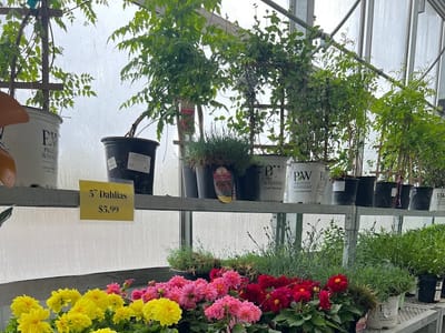 R Jones Nursery & Landscape Center & Butternut Farms Cafe