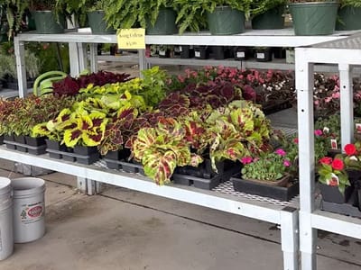 R Jones Nursery & Landscape Center & Butternut Farms Cafe