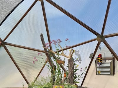 Rachel’s Keep On Keepin On and Crow Bar