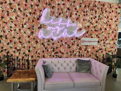 Raining Berries St. Pete