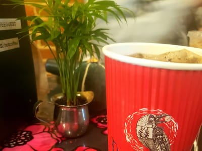 Raven’s Nest Coffee House