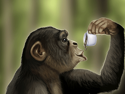 Raz Drive Thru Coffee