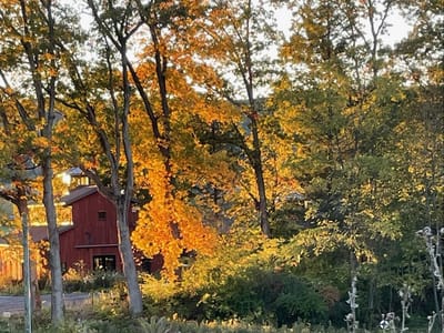RE Farm Cafe at Windswept Farm