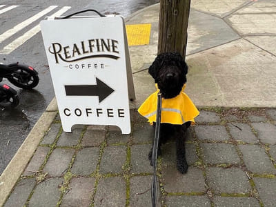Realfine Coffee