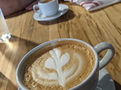 Rebel Dog Coffee Co. & Tavern PLAINVILLE