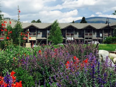 Red Buffalo Coffee & Tea