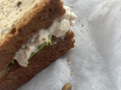 Red Mountain Expresso