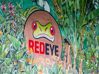 RedEye Coffee - Midtown