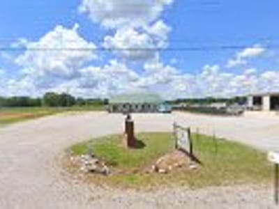 Regenerative Health Solutions