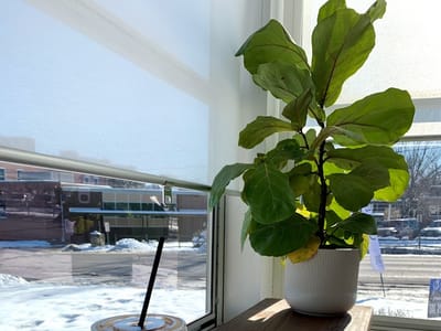 ReHope Market & Cafe