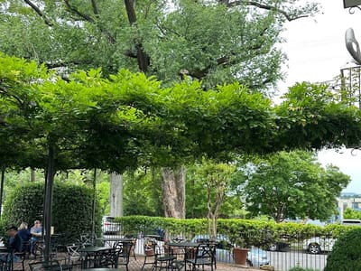 Rembrandt's Coffee House