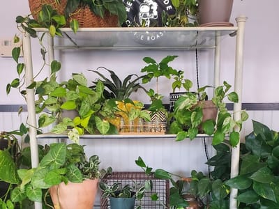 Retrograde Coffee Roasters