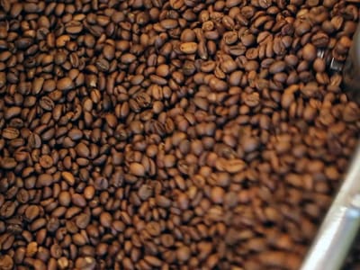 REVOLUTION COFFEE COMPANY