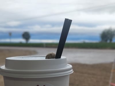 Rise and Grind Espresso