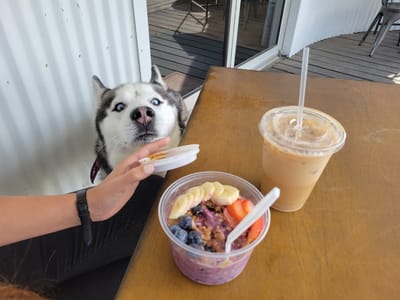 Rise & Grind Coffee Co