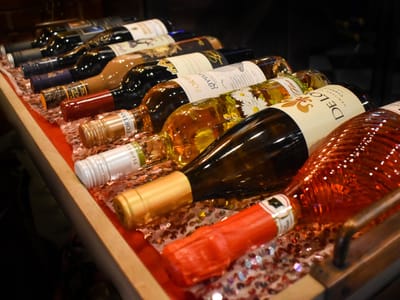 River Kitty Cat Cafe