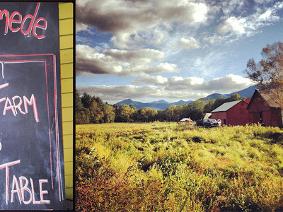 Rivermede Farm Market