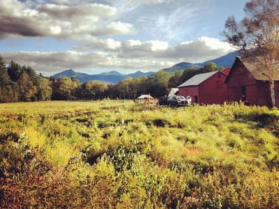 Rivermede Farm Market
