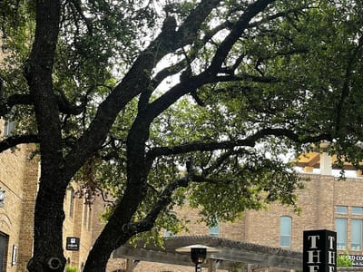 Rivery Coffeehouse & Desserts